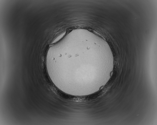 X0000086760660200705041449