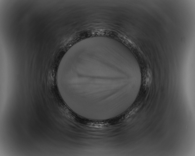 X0000086760661200705041449