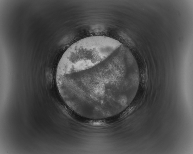 X0000086760662200705041449