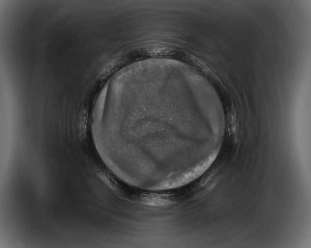 X0000086760664200705041449