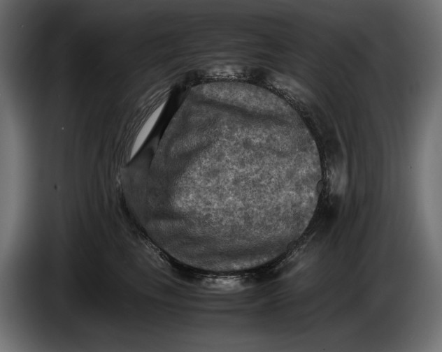 X0000086760665200705041449