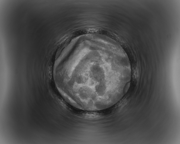 X0000086760666200705041449