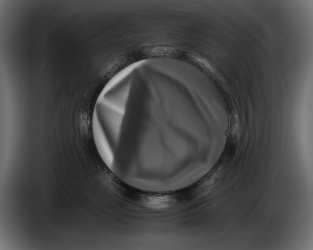 X0000086760669200705041449