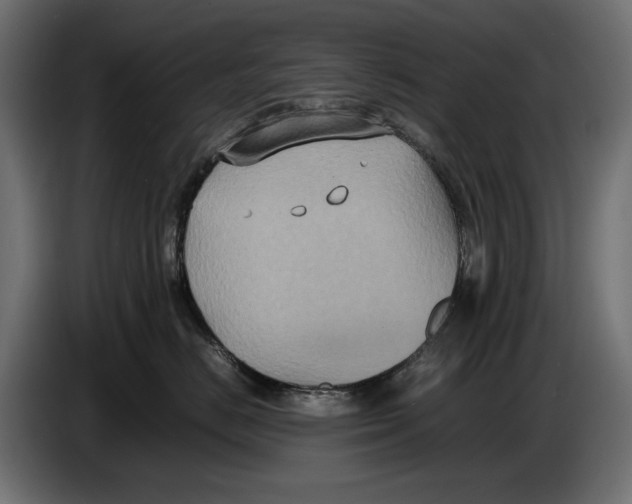 X0000086760670200705041449