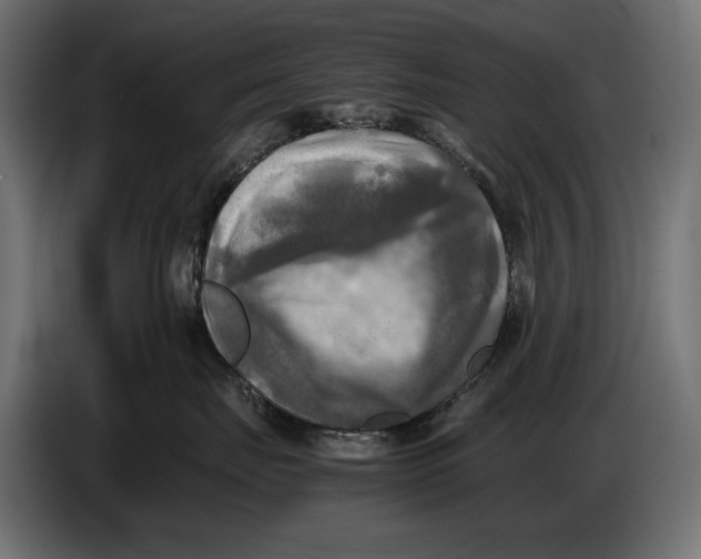 X0000086760671200705041449