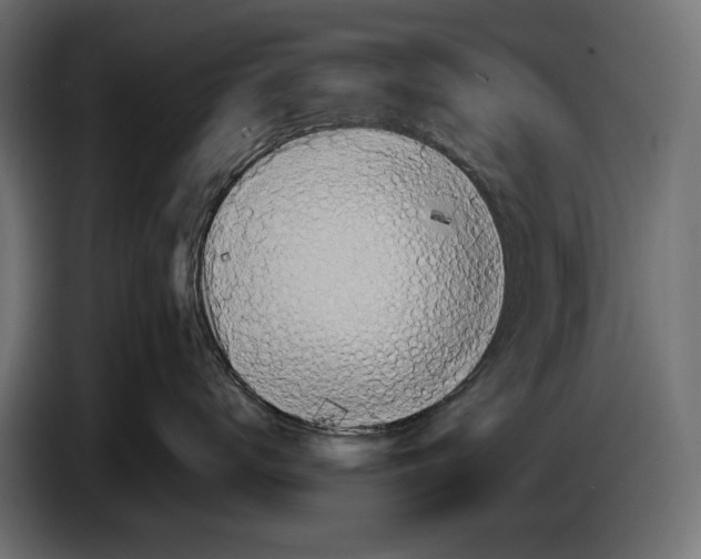 X0000086760672200705041449