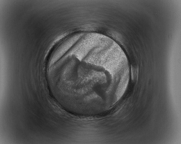 X0000086760675200705041448