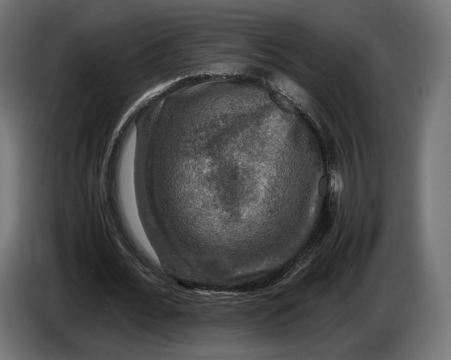 X0000086760676200705041448