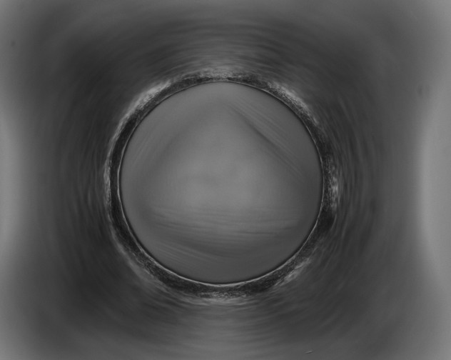 X0000086760678200705041448