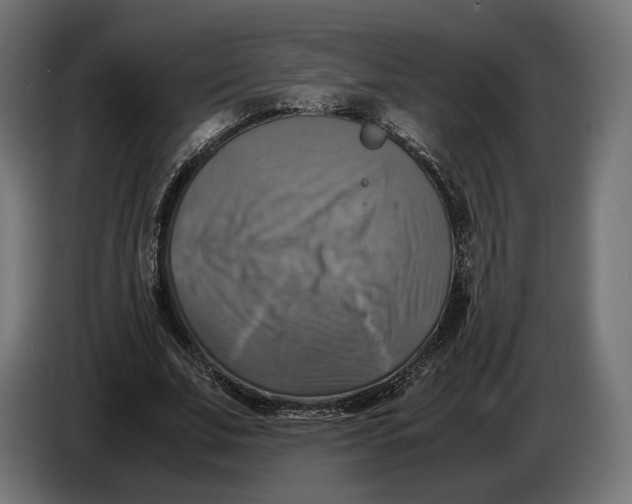 X0000086760679200705041448