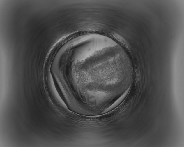 X0000086760680200705041448