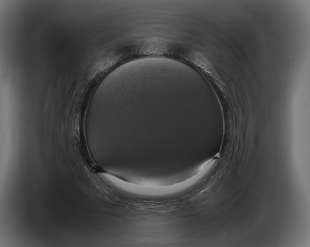 X0000086760681200705041448