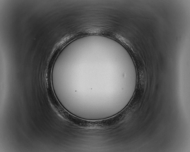 X0000086760682200705041448