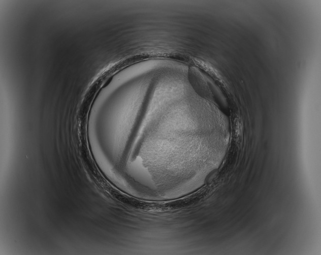 X0000086760684200705041448