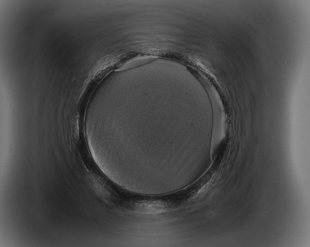 X0000086760685200705041448