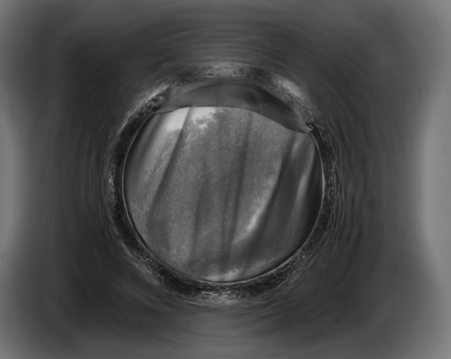 X0000086760688200705041448