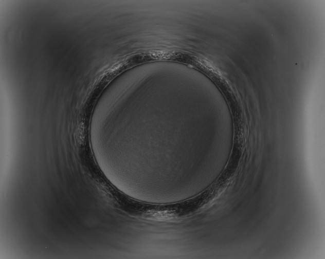 X0000086760689200705041448