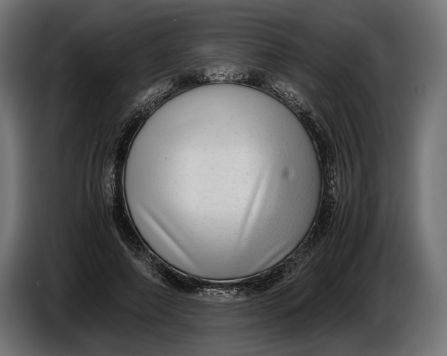 X0000086760690200705041448