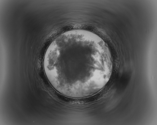 X0000086760691200705041448