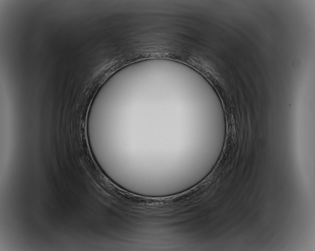 X0000086760692200705041448