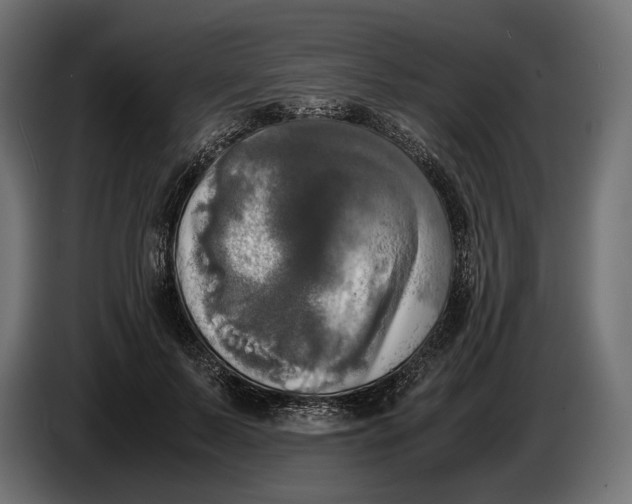 X0000086760695200705041448