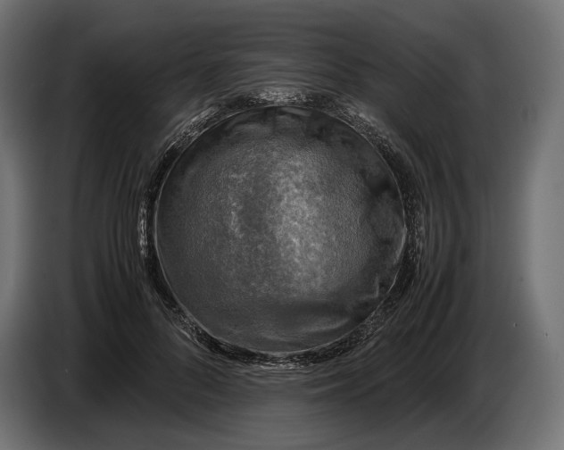 X0000086760696200705041448