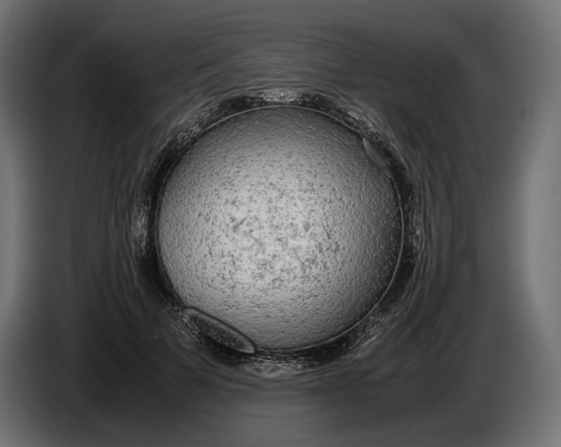 X0000086760697200705041448