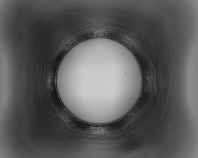 X0000086760698200705041448