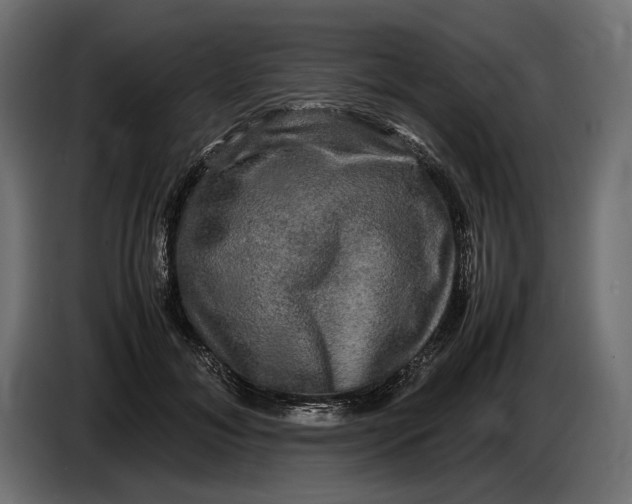 X0000086760700200705041448