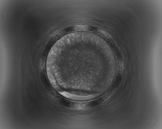 X0000086760701200705041448