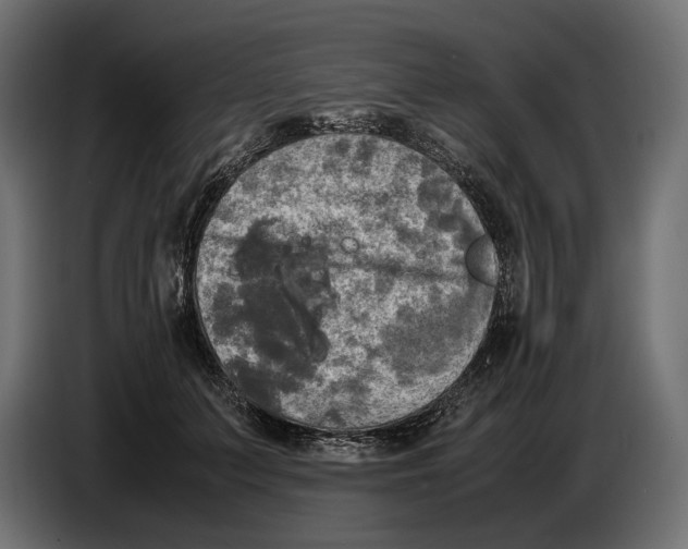 X0000086760703200705041448