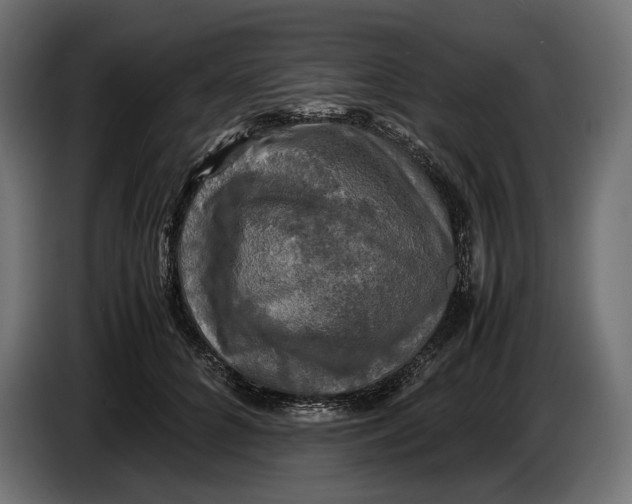 X0000086760704200705041448