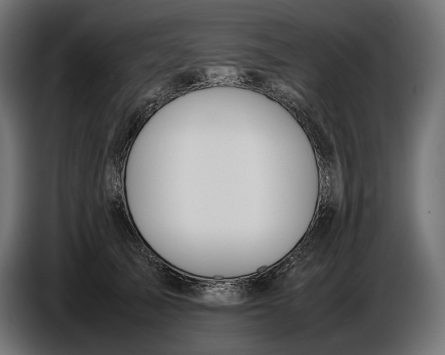 X0000086760705200705041448