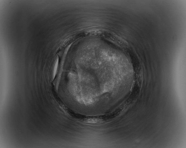 X0000086760708200705041448