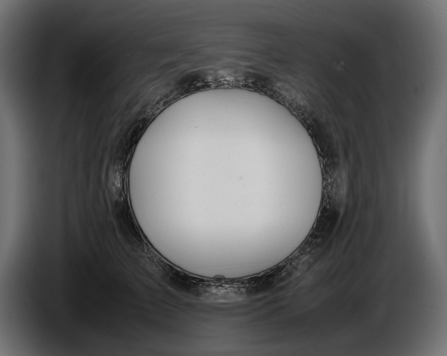 X0000086760709200705041448