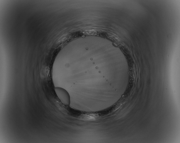 X0000086760711200705041448