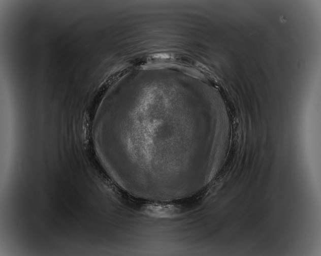 X0000086760712200705041448