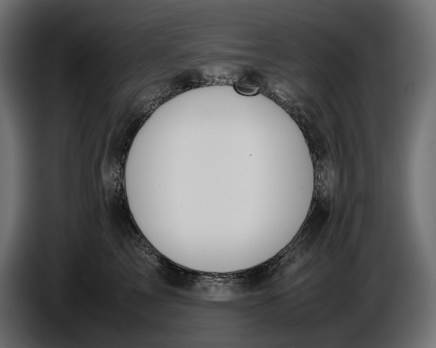 X0000086760713200705041448