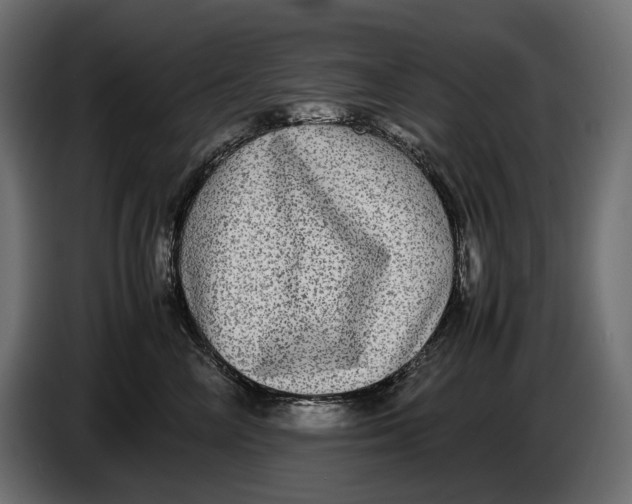 X0000086760714200705041448