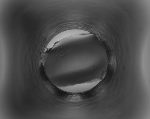 X0000086760715200705041448