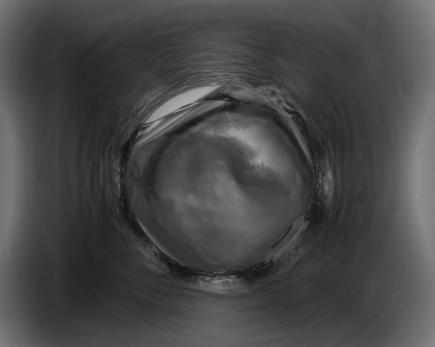 X0000086760716200705041448