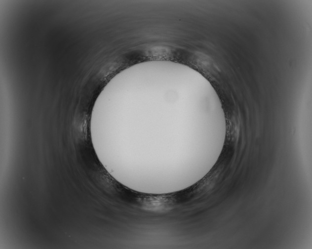 X0000086760717200705041448