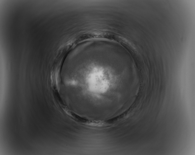 X0000086760720200705041448