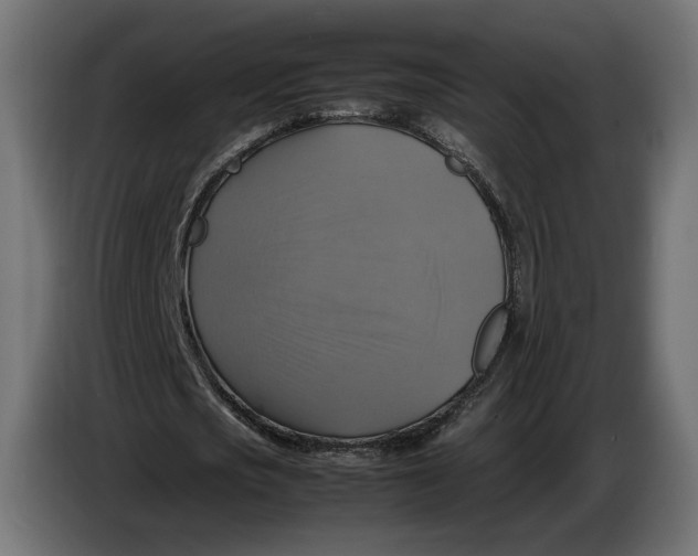 X0000086760721200705041447