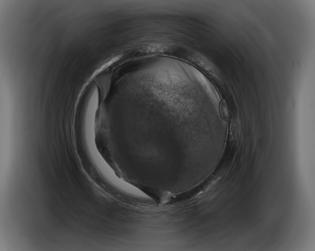 X0000086760722200705041447