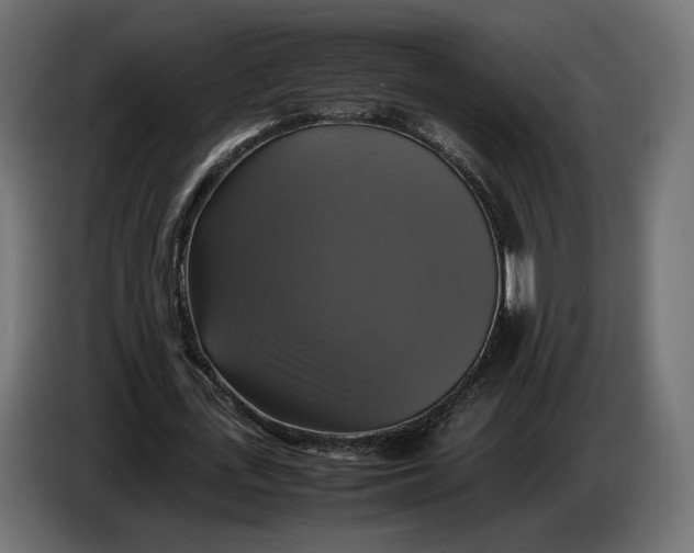 X0000086760723200705041447