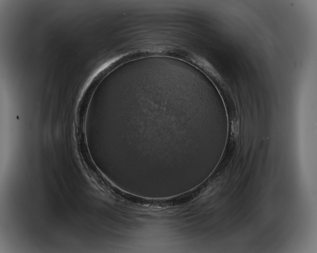 X0000086760724200705041447