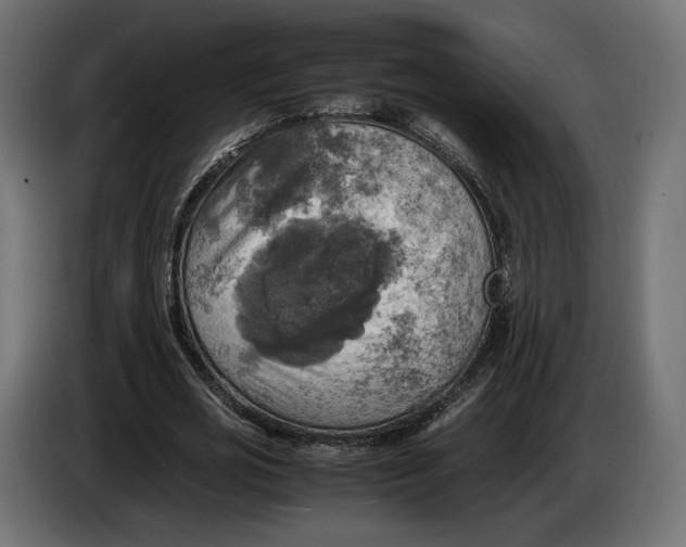 X0000086760725200705041447