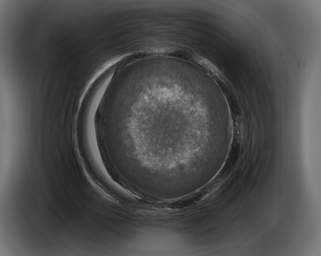 X0000086760726200705041447