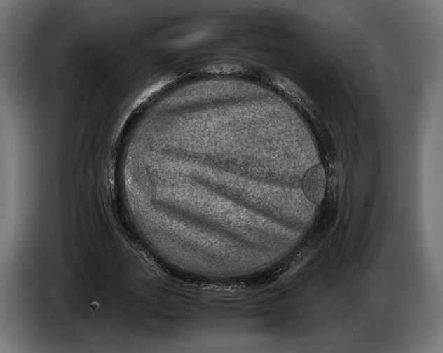 X0000086760727200705041447